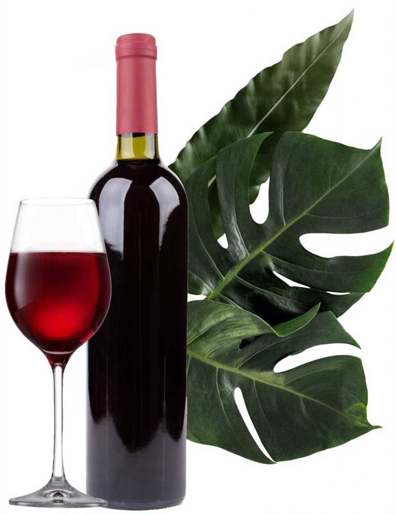 dégustation de vin l’isle adam